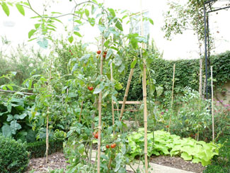 Jardin du clos des Blancs Manteaux