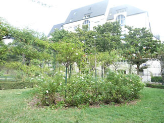 Jardin saint Gilles Grand Veneur