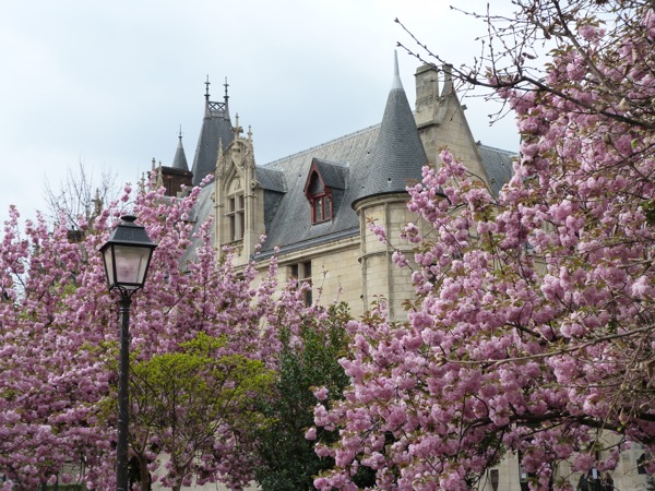 Paris Marais View