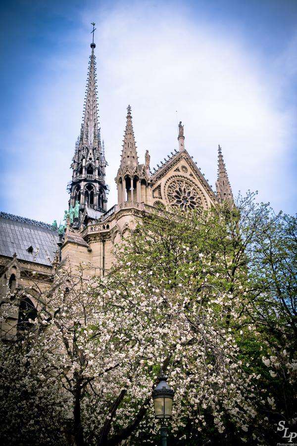 Springtime in The Marais with Serge Loyaute Peduzzi