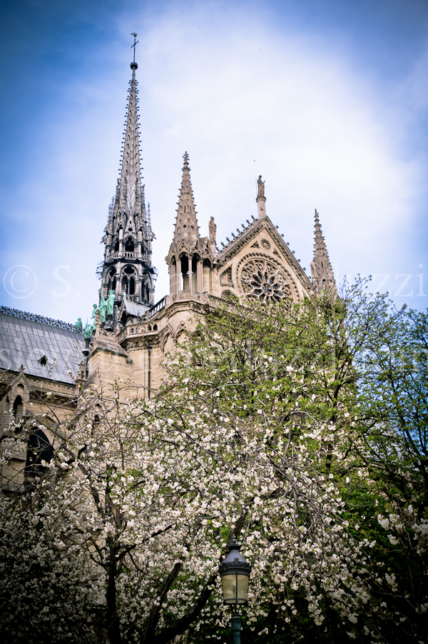 Springtime in The Marais with Serge Loyaute Peduzzi