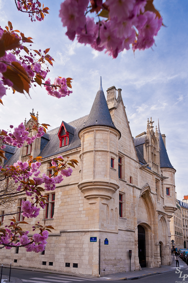 Springtime in The Marais with Serge Loyaute Peduzzi