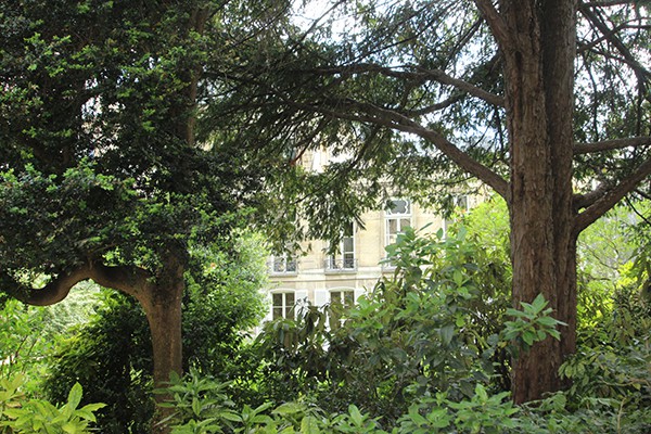 The Marais Secret Gardens