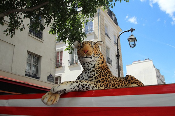 FLEA MARKET RUE DE BRETAGNE