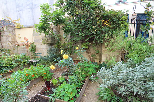 Le Marché des Enfants Rouges celebrates its 400th Birthday
