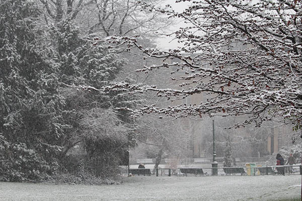 Le Marais under the snow