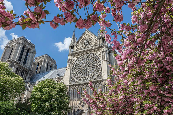 Notre Dame de Paris, le grand incendie