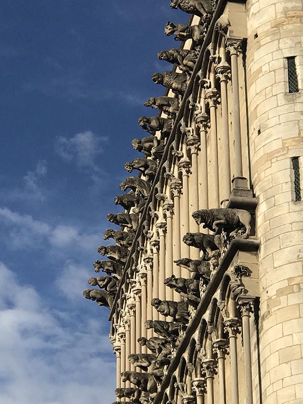 Les gargouilles de Notre Dame 