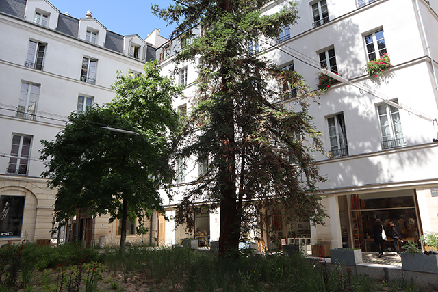 Nouveaux jardins au Village St Paul