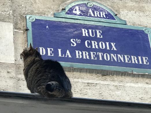 LES MEDIAS DE QUARTIERS INDEPENDANTS SE MOBILISENT