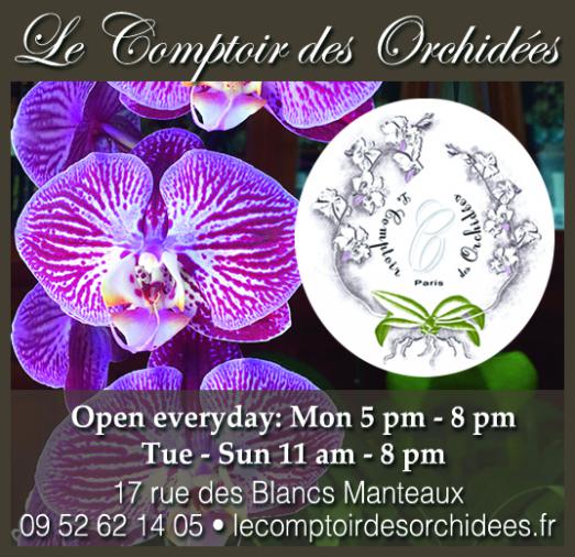 Le comptoir des orchidées, festival de couleurs et de senteurs 